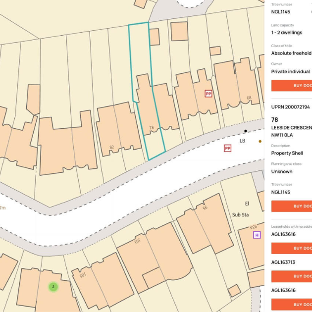 Untitled design (16)