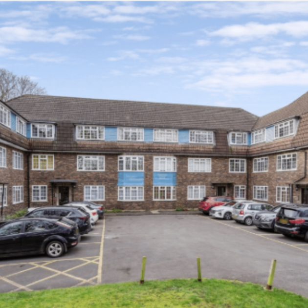 Untitled design (19)