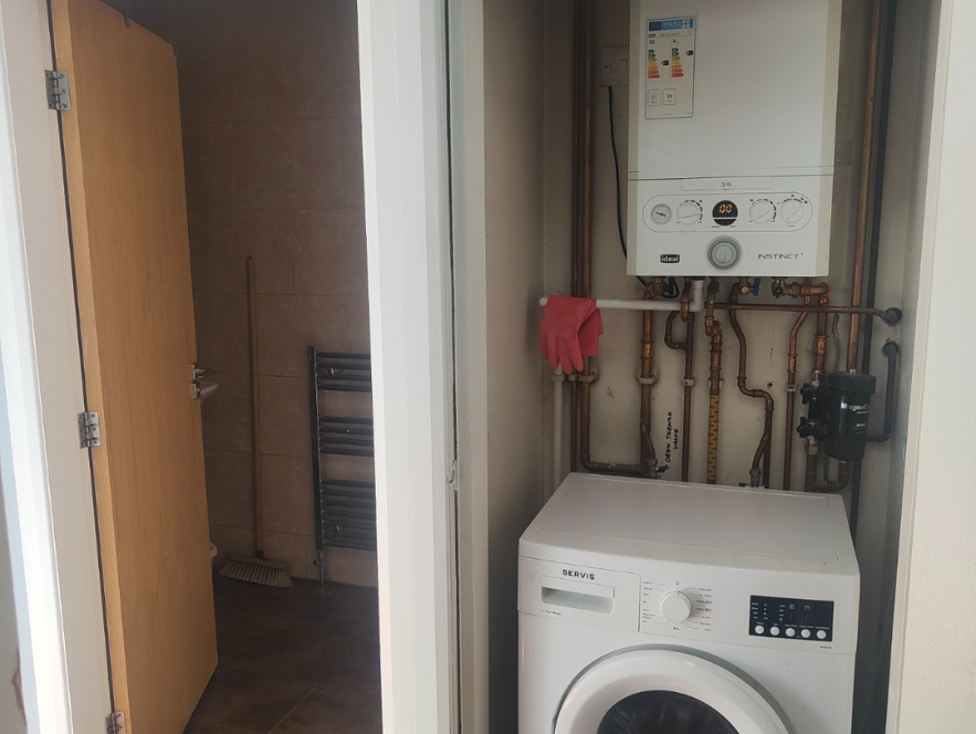 Untitled design (24)